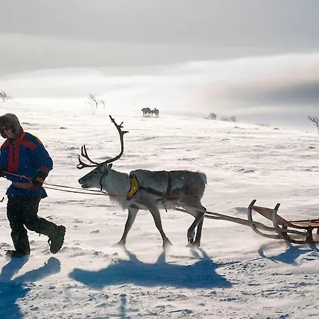 Kieppi, Open Your Door And Enjoy The Wilderness Utsjoki
