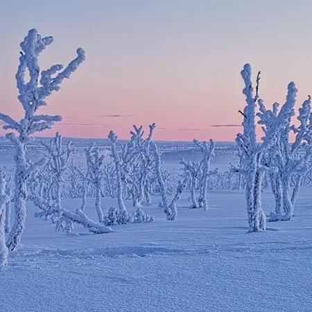 Kieppi, Open Your Door And Enjoy The Wilderness Utsjoki