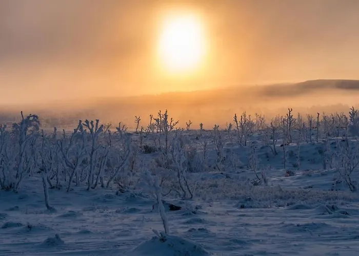 דירה Kieppi, Open Your Door And Enjoy The Wilderness אוטסיוקי